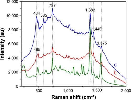 Figure 7 SER spectra of PRNL.Notes: SER spectra of PRNL recorded using as substrates 1 mL OH AuNPs at pH =4 (b) and pH =10 (c). The SER spectrum of PRNL recorded on “classical” citrate-capped AuNPs is presented for comparison (a). The final concentration of PRNL was 2 mM. The spectra were recorded using a 785 nm excitation laser.Abbreviations: SER, surface-enhanced Raman; PRNL, propranolol; OH, Origanum herba; AuNP, gold nanoparticle; au, atomic unit.