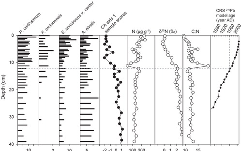 FIGURE 6. Sediment core fossil diatom stratigraphies and geochemistry from Amphitheater Lake. Horizontal bars of the relative abundance of fossil diatom taxa found in sediment cores with greatest change in species composition, including Nr deposition indicator species Fragilaria crotonensis. Sediment profiles of the first correspondence axis (CA1) based on unconstrained ordination of species relative abundance, N (µg g-1), δ15N, molar ratio of carbon to nitrogen (C:N), and CRS age model. Unconstrained CCA explained 33% of the variance (p < 0.005) with an eigenvalue of 0.039 for CA1. The year 1960 is marked with a dotted line.