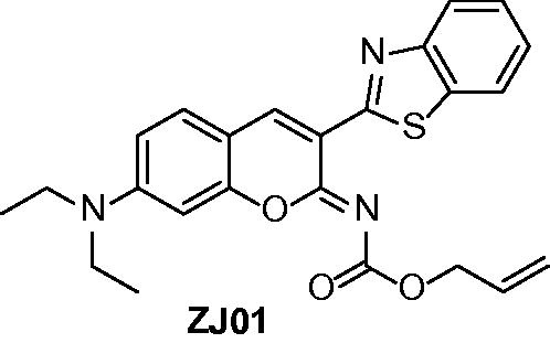 Figure 2. Structure of ZJ01.