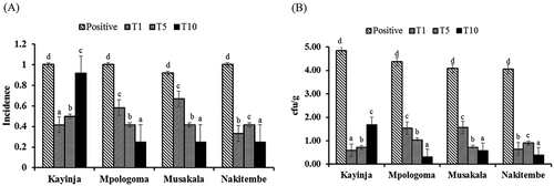 Fig. 3 Xanthomonas campestris pv. musacearum (Xcm) incidence (a) and bacterial load (CFU g−1) (b) for the different cultivars treated with 1 weevil (T1), 5 weevils (T5) and 10 weevils (T10) previously fed on Xcm oozing corms 60 days post-inoculation.