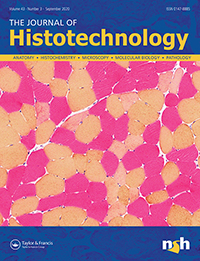 Cover image for Journal of Histotechnology, Volume 43, Issue 3, 2020