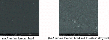 Figure 4. SEM morphologies of the alumina femoral head and Ti6Al4V alloy ball under lower angular displacements, Fn = 100 N, θ = 0.5°.