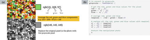 Fig. 3 Slides used to explain one process for converting a color photo to grayscale.