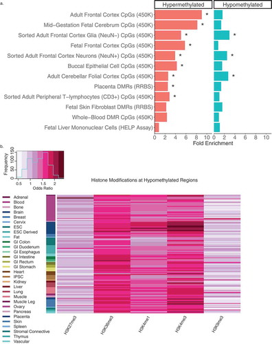 Figure 3. Cross-tissue enrichments for WGBS DS-DMRs relative to background regions. (a) Overlap of DS-DMRs with differentially methylated sites and regions identified in a variety of tissues in previously published DS studies (* = q< 0.05). (b) Enrichment of roadmap epigenomics 5 core histone modifications across 127 epigenomes for the hypomethylated DS-DMRs.