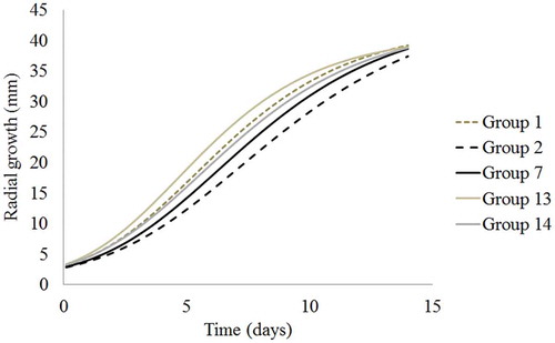 Fig. 3 (Colour online) Growth curve of M. roreri isolates from colour groups that showed significant growth differences (P < 0.05) fitted to a Gompertz model.