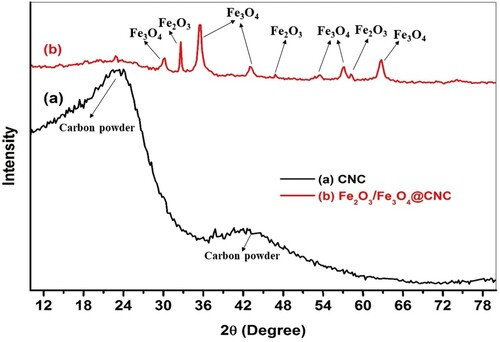 Figure 1. XRD diffractogram of bare coconut charcoal (CNC) and Fe2O3/Fe3O4@coconut charcoal composite.