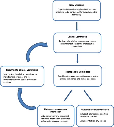 Fig. 1 The flow of information for the medicines selection process