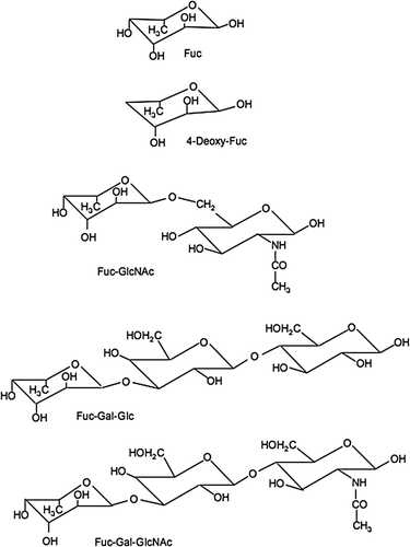 Figure 1.  Chemical structures of fucose and the related compounds used in the experiments. Note: These compounds were used in the inhibitory experiments on Ac-LDL uptake in the J774.1 mouse macrophage cell line. These are chemical structures of the compounds Fuc, fucose (6-deoxy-galactose); Gal, Galactose; GlcNAc, N-acetyl-Glucose; Glc, Glucose.