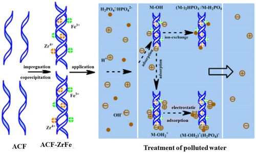 Figure 4. Application of CNF for water treatment by adsorption.