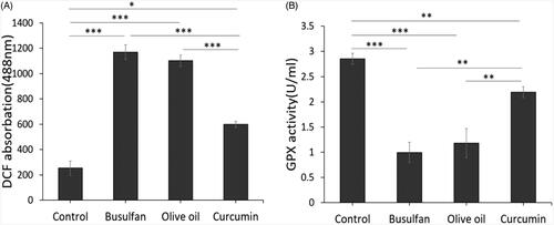Figure 3. The effect of curcumin on ROS production and level of GSH in study groups. (A and B) Mean ± SD of the ROS production and GPX activity of kidney in the study groups (*p < .05, **p < .01, and ***p < .001).