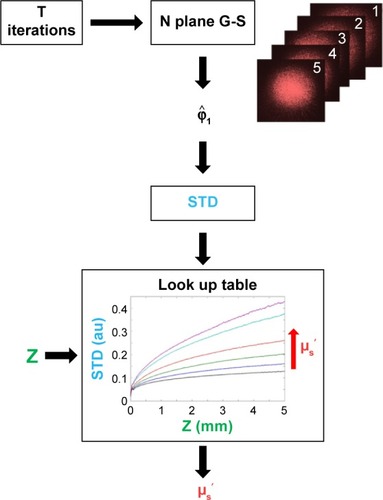 Figure 1 A schematic description of the algorithm for reconstructing µs′.Notes: After running T iterations of multi-plane G–S algorithm, the estimated phase φ^1 is retrieved. The calculated phase’s STD together with the tissue thickness, Z, produces an estimation for µs′ using a look up table (that was built as described above).Abbreviations: G–S algorithm, Gerchberg-Saxton algorithm; STD, standard deviation.