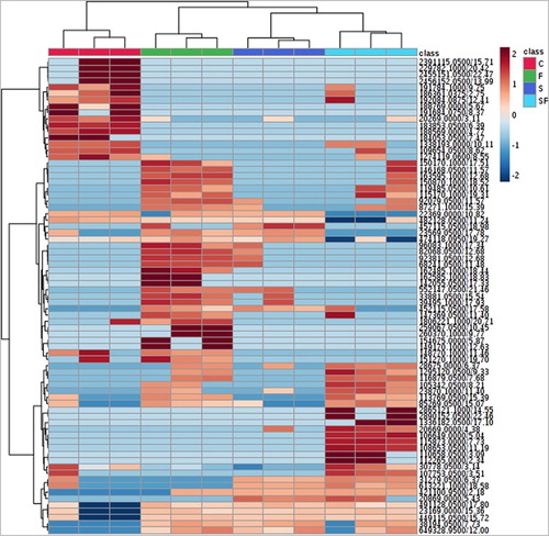 Figure 4. Heatmap showing the hierarchical clustering of the samples based on Euclidean distance. The top 75 mass features for the different treatments ranked by t-tests are shown. Columns represent the samples, in three replicates. Rows represent mass features. Blue, low abundance; Red, high abundance. C, control; F, F. culmorum in monoculture; S, S. plymuthica in monoculture; SF, both S. plymuthica and F. culmorum in interaction.