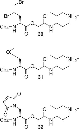 Figure 5.  Potential electrophilic irreversible TR inhibitors.
