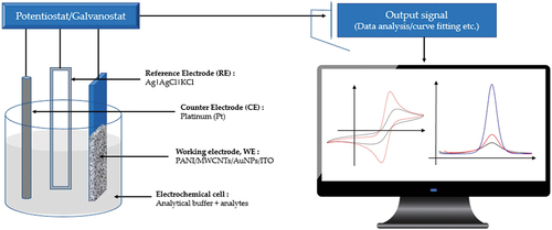 Figure 5. Diagrammatic representation of a traditional electrochemical sensor. Reproduced from [Citation57] under common creative license, MDPI (2020).