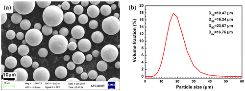 Figure 1. SEM morphology (a) and size distribution (b) of the pure tungsten powder.
