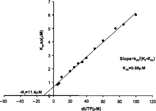 Figure 2.  Inhibition by dUMP of dUTP hydrolysis. The Ki value for product (dUMP) inhibition was calculated from the Kmapp values obtained at different dUMP concentrations (5 to 100 μM). The Ki for dUMP was 11.4 μM and the real Km 0.66 μM.