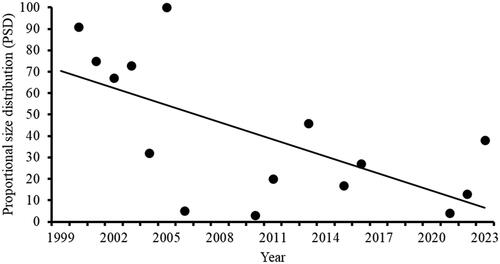 Figure 3. Annual proportional size distribution (PSD) for pumpkinseeds captured in modified-fyke nets fished overnight in Lake Enemy Swim, South Dakota, during annual surveys completed during 1999–2023. A minimum sample size of 20 stock-length fish was necessary to calculate PSD. The regression line is significant (p = 0.010).