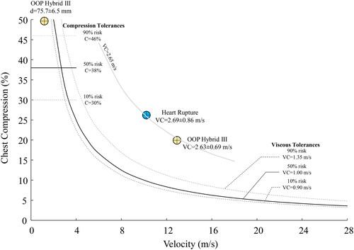 Figure 15. Tolerance to chest compression and viscous response with OOP airbag testing of the Hybrid III dummy and anesthetized animals with punchout force on the chest.