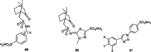 Figure 8. Aromatic/heterocyclic sufonamides 49 and 50 incorporating 10-camphorsulfonyl tails. In derivatives 49, n = 0, 1 and 2. Triazole-sulphonamides 51 incorporate X, Y Z groups of the type H, F, Me, OMe, CF3, SO2NH2.