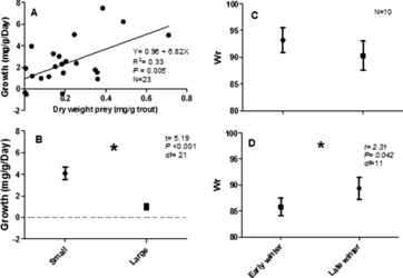 Figure 2. Results from marked and recaptured fish in Badger Creek: (a) relationship between growth rate (mg g−1 day−1) and dry weight (mg g trout−1) of prey consumed, (b) mean growth rates of large (150–276 mm TL) and small (≤150 mm TL) brown trout, mean relative weight (Wr) of (c) small (≤150 mm TL) and (d) large (>150–276 mm TL) brown trout in early winter and late winter. An * indicates a significant difference (p < 0.05).