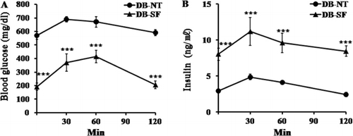 Figure 3. Changes of blood glucose (A) and insulin (B) levels during IPGTT. The IPGTT was done after 7 weeks of SFH treatment. ***p < 0.001.