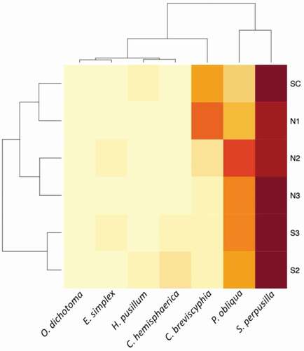 Figure 2. Heatmap of the site*species associations among the hydrozoan species found at the Castello vent and control stations, calculated from the semi-quantitative classification of abundance (1 = low, 2 = medium, 3 = high)