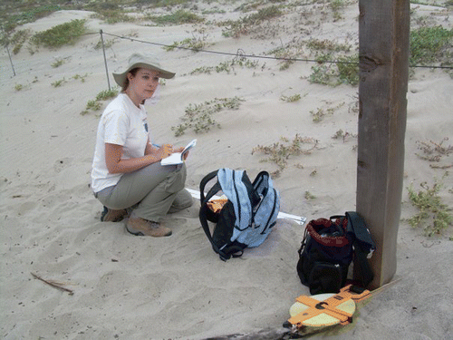 Figure 3. Fieldwork as a coastal plant biogeographer.