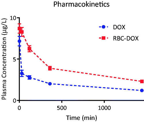 Figure 1. Plasma concentration of DOX (blue), and RBC-DOX (red), as a function of time over a 24 h time period after a 5 mg/kg intravenous injection. Corresponding area under the curves and plasma clearance rate are shown in Table 1.