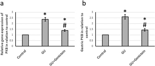 Figure 7. Effect of gastric ulcer (GU) and 25 mg/kg genistein on gene expression of protein kinase B (PKB) (a) and its gastric protein level (b). * Significant difference as compared with control group at p < 0.05. # Significant difference as compared with GU group at p < 0.05.