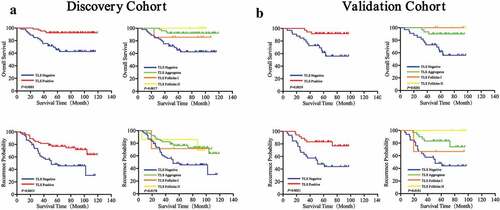 Figure 4. Prognostic significance of TLS phenotypes of in GIST patients