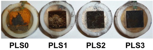 Figure 11. Digital photo of steel coupons after 16-day immersion in NaCl solution containing 0–3 vol.% PLS.