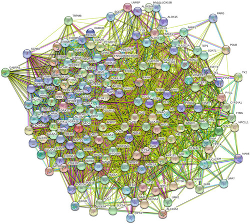 Figure 9 Rhubarb potential hepatotoxicity target PPI network.