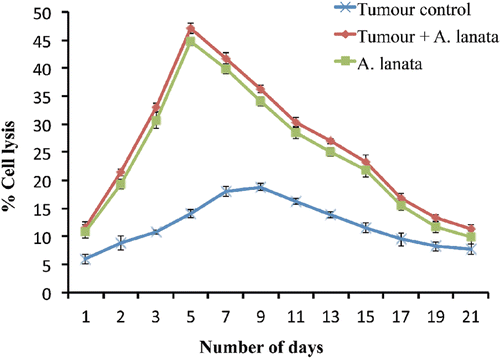 Figure 1.  Effect of A. lanata on natural killer cell activity. BALB/c mice were divided into three groups (n = 36/group). Group I animals were induced to form ascites by IP injection of Ehrlich ascites carcinoma cells (EAC, 1 × 106 cells/mouse) and kept as untreated tumor-bearing controls. Group II animals were treated with A. lanata extract (10 mg/kg BW/day, IP) for 5 consecutive days. Group III mice received five daily doses of A. lanata and then EAC cells (1 × 106 cells/animal, IP) 24 h after the final extract treatment. Animals were then sacrificed at different timepoints (n = 3/group/timepoint) thereafter. At necropsy, the spleen was removed and processed to generate single-cell suspensions; these materials were then used as effector cells to determine NK cell activity in a [51Cr]-release assay. Results are expressed as mean (± SD) percentage cell lysis.