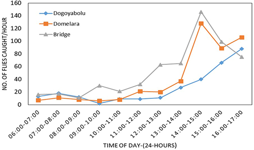 Figure 2 Biting activity of Simulium damnosum in Mvolo County (river Naam), Western Equatoria, South Sudan.