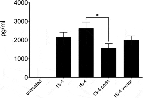 Figure 7. Cytokine response of THP-1 cells infected with Patient S1 strains and porin complemented strains: TNF-α levels (pg/ml) were determined on 24 h culture supernatants using a bead-based cytokine assay. Results are mean ± SEM from a total of 5 independent experiments. Complementation of 1S–4 with the porin containing plasmid (1S–4 porin) led to a reduction in TNF-α (* p-value 0.0160, FDR of 0.05).