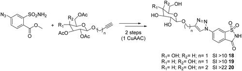 Scheme 2. Schematic synthesis for saccharin-glycoconjugates 18–20.