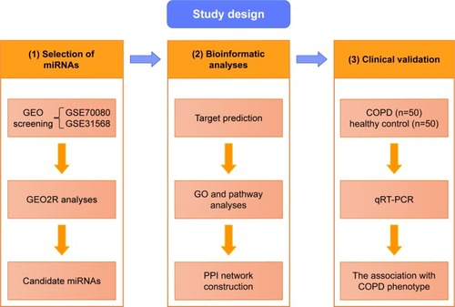 Figure 1 The general overview of the study design.