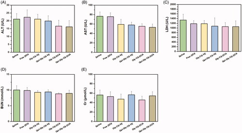 Figure 8. Plasma chemistry parameters of mice treated by DOX and DOX loaded chitosan nanoparticles for 11 days. (A) Alanine aminotransferase (ALT), (B) aspartate aminotransferase (AST), (C) lactate dehydrogenase (LDH), (D) blood urea nitrogen (BUN) and (E) creatine kinase (CK).