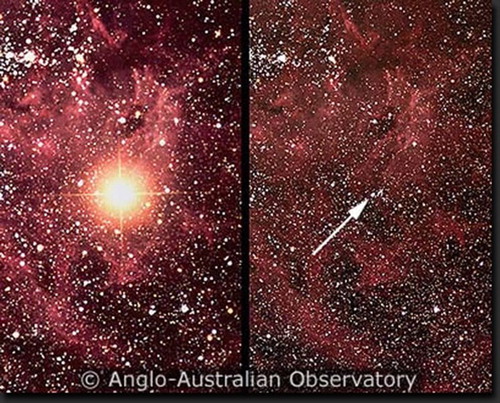 Figure 13. Supernova SN87a in the Large Magellanic Cloud (a satellite galaxy of the Milky Way located at 163 000 light years) has been observed in 1987 with all available detectors and telescopes (bottom before explosion, above after explosion). This is really the modern time supernova. This observation, in agreement with theoretical models of explosive nucleosynthesis, has strengthened our confidence in them, specifically concerning the synthesis of iron. (Copyright Anglo Australian Observatory).