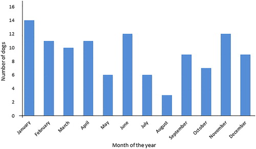 Figure 5. Number of patients reported to VTH according to month of the year.