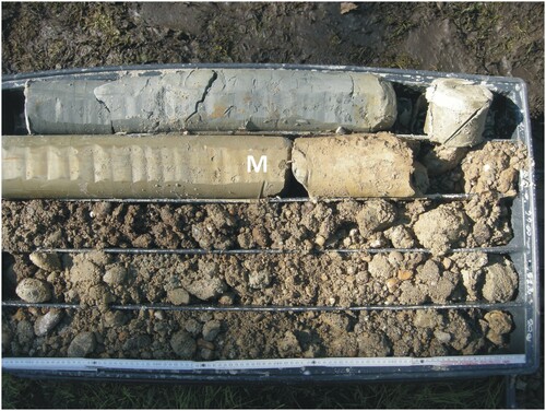 Figure 2. The Pliocene marine succession (M) (Argille Azzurre), on which the fluvial sediments of the Vallere Unit lie, was crossed at low deep (23 m) by the Botanic Garden borehole (log 81).
