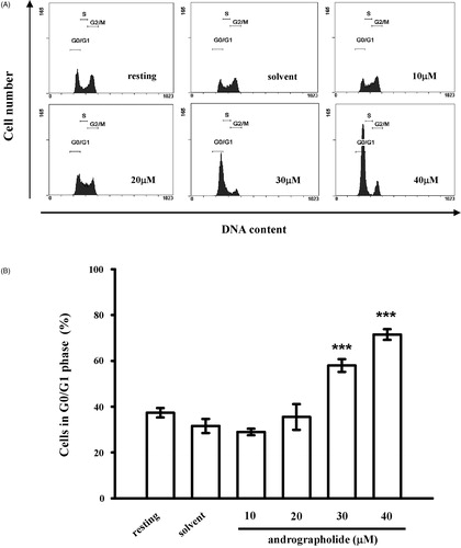 Figure 3. Effects of andrographolide on the cell cycle. (A) CECs were treated with andrographolide (5–100 μM) or 0.1% DMSO for 24 h, and harvested to assess the cell cycle by staining with PI. Flow cytometric data are presented. (B) Statistical analysis of cells at G0/G1 phase. Data are presented as the means ± S.E.M. (n = 3). ***p < 0.001, compared to the solvent control (DMSO) group.