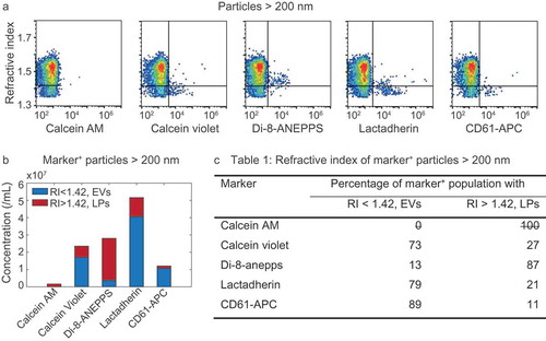 Figure 5. Refractive index (RI) of particles >200 nm stained with calcein AM, calcein violet, di-8-ANEPPS, lactadherin, and CD61-APC in platelet-free plasma. (a) RI versus marker fluorescence for particles >200 nm. The horizontal line indicates an RI of 1.42 and separates lipoproteins (LPs; top right quadrant) from EVs (bottom right quadrant). (b) Concentrations of stained (i.e. marker+) EVs (blue) and LPs (red) for the indicated fluorescent marker. (c) Percentage of marker+ particles with an RI typical for EVs and LPs for the indicated fluorescent marker. Representative data of 1 out of 2 measurements shown.