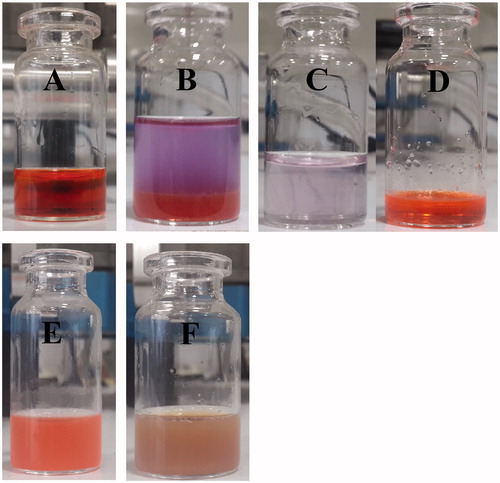 Figure 6. Aqueous solutions of Dox-HCl present a red colour at pH < pKa: 8.3 (A). A chemical conservation strategy was utilized to extract Dox-HCl into its free base form (protonated Dox which is hydrophobic) through a chemical reaction with TEA to improve Dox loading into the PLGA nanospheres (B). Whereas aqueous solution of Dox-HCl at pH above 10.5 shows a purple colour (C), Dox in the free base form shows an orange colour (D). Dox-loaded PLGA nanospheres (E) and SPIO/Dox loaded PLGA nanospheres (NPs) (F) with an excellent colloidal stability obtained by W1/O1,2/W2 methods.