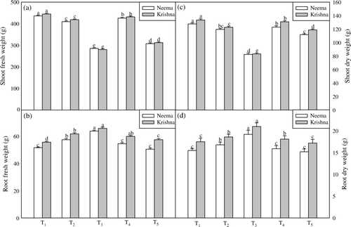 Figure 2.  Effect of foliar spray of salicylic acid on shoot fresh weight (a), root fresh weight (b), shoot dry weight (c) and root dry weight (d) of two varieties of lemongrass plants grown under drought stress. Each value represents the mean of four replicates with SE determined. Means within a column followed by the same letter (s) are not significantly different (p ≤ 0.05). [100% FC (Control) + 0 SA (T1, Control); 75% FC + 0 SA (T2); 50% FC + 0 SA (T3); 75% FC + 10−5 M SA (T4); 50% FC + 10−5 M SA (T5)].