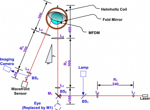 Figure 9 Layout of the experimental setup (L: lens, M: mirror, R: relay, BS: beam-splitter, all dimensions are in mm). The items in dotted blue lines are needed only for retinal imaging applications. (Figure is provided in color online.).