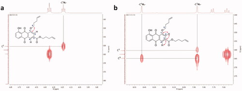 Figure 2. Detailed correlation for structure determination of BW-AQ-336 by HMBC 2 D-NMR.