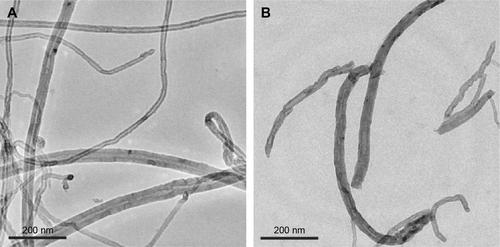 Figure S2 TEM images of (A) pristine MWCNT and (B) MWCNT-OX.Abbreviations: TEM, transmission electron microscopy; MWCNT, multi-walled carbon nanotubes.