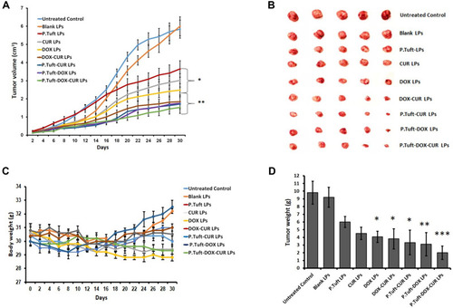 Figure 7 The in vivo effects different kinds of LPs in EAC tumor-bearing mice.