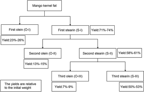 Figure 1. Mango kernel fat stearins and oleins produced by three-stage acetone fractionation.